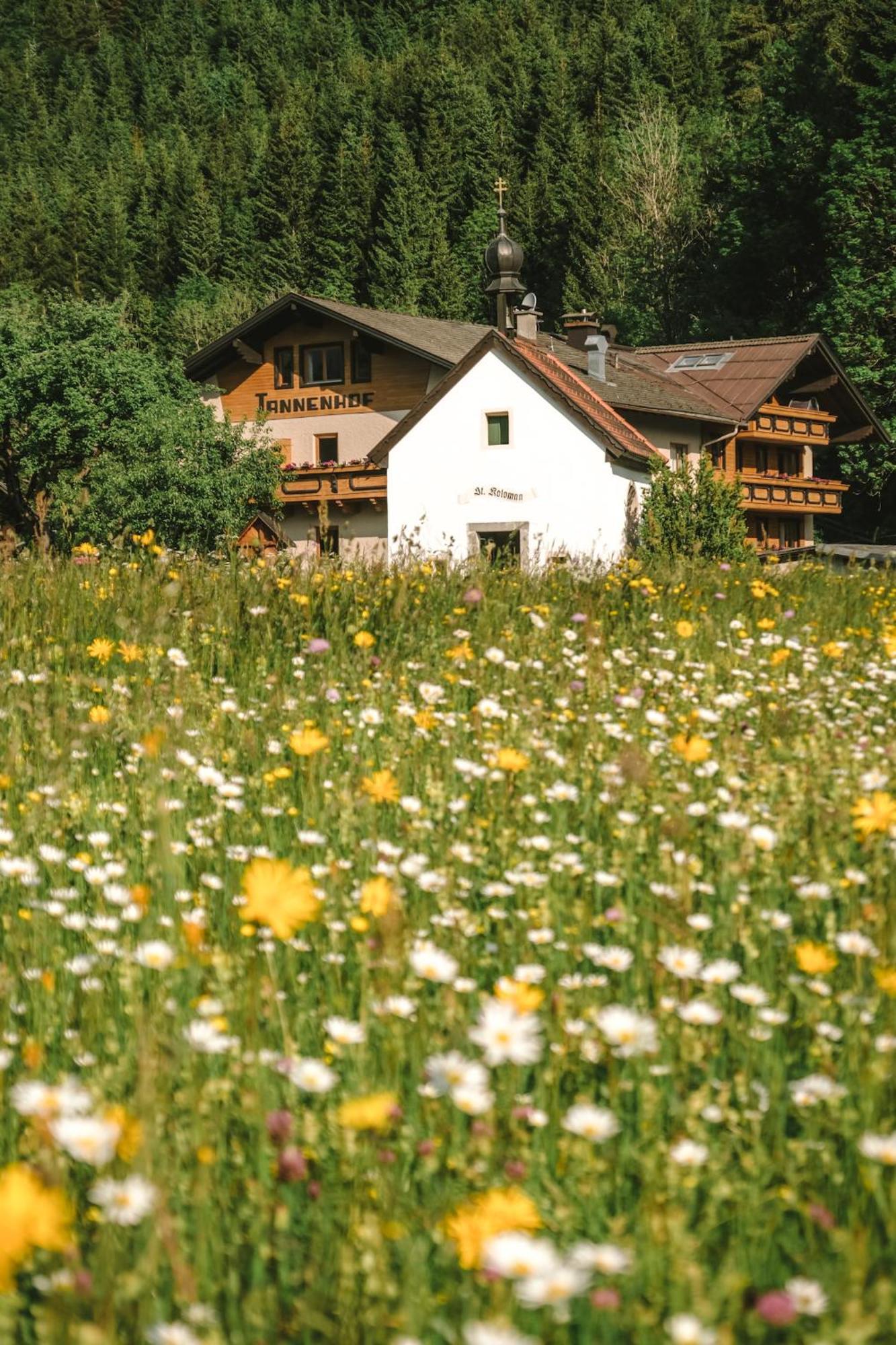 Der Tannenhof Hotell Reutte Eksteriør bilde
