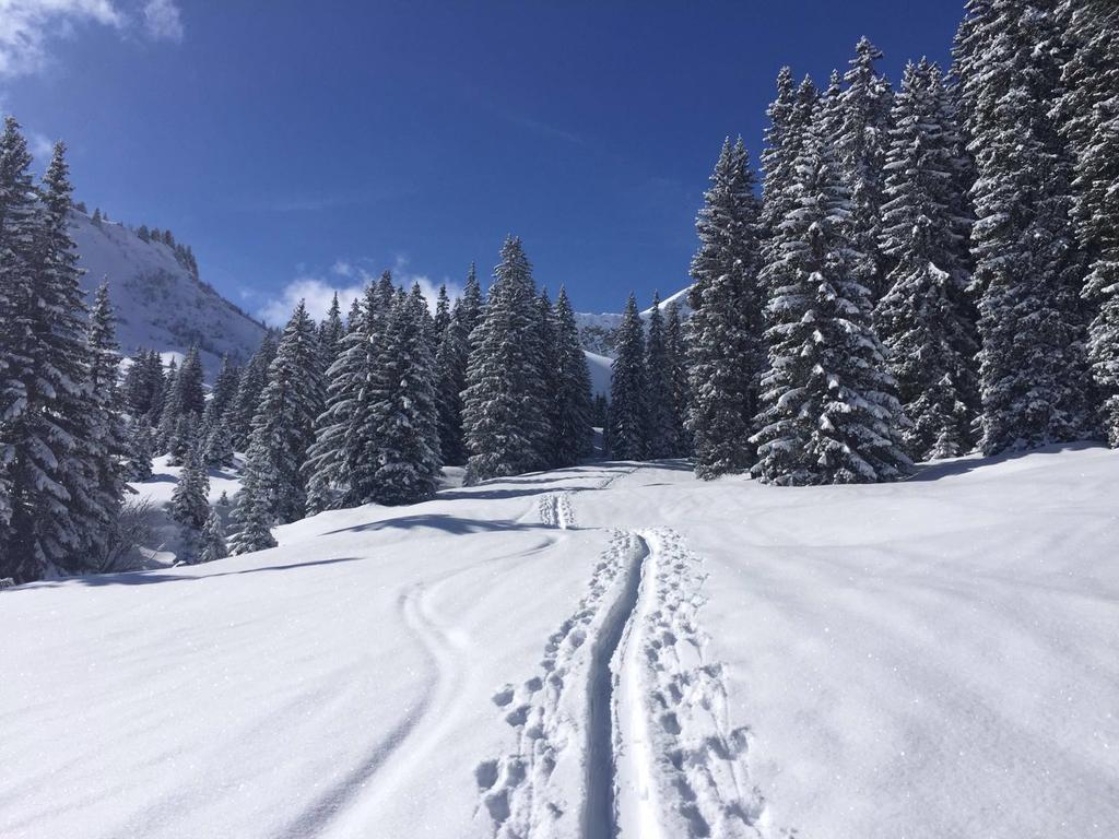 Der Tannenhof Hotell Reutte Eksteriør bilde